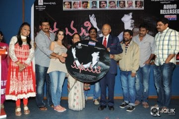 Madhumati Movie Audio Launch